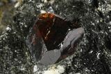Fluorescent Zircon Crystal in Biotite Schist - Norway #175848-1